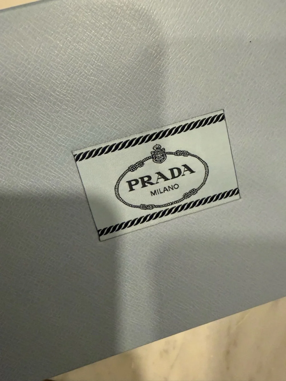 Prada Ballerina Mesh Mary Jane Flat - Picture 7 of 13